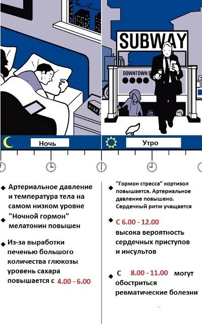 Какие часы наиболее опасны для человека? 1-часы