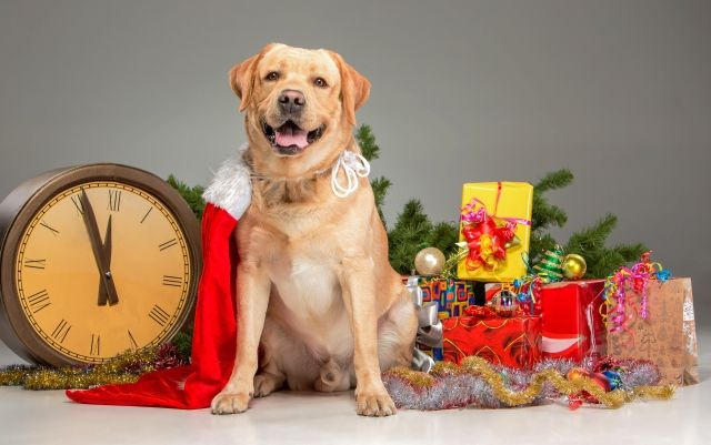 Як зустріти Новий рік 2018 за фен-шуй Як зустріти Новий рік 2018 з фен-шуй