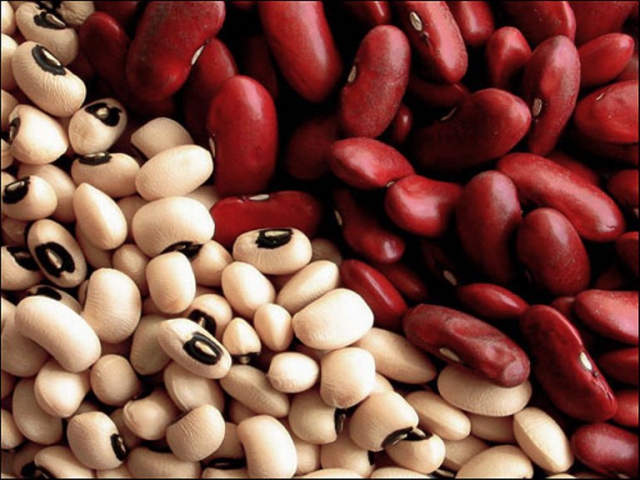 Як полегшити біль під час менструації? Поради гінекологів фасоль