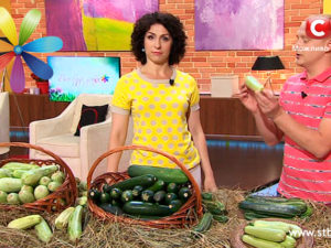 Все буде добре – Выпуск 412 – Смотреть онлайн