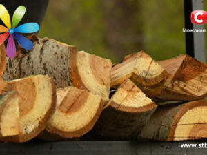 Выбираем на пикник дрова, угли и разжигатель костра