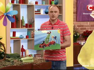 выбираем кабачки и патиссоны
