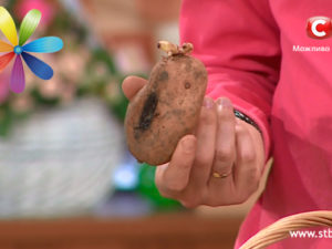 Как получить хороший урожай картошки