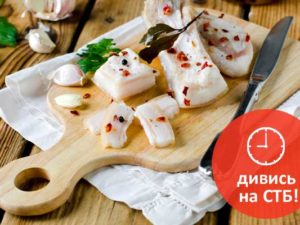 Надія Матвєєва розповіла про улюбленців