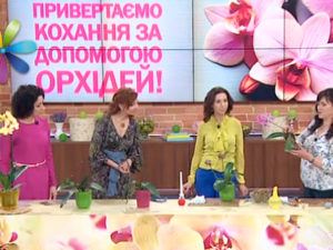 Як правильно розсадити орхідею: відео