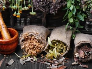 Как выбрать качественные персики, абрикосы, нектарины