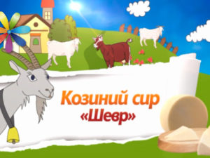 Как сделать сыр с плесенью в домашних условиях