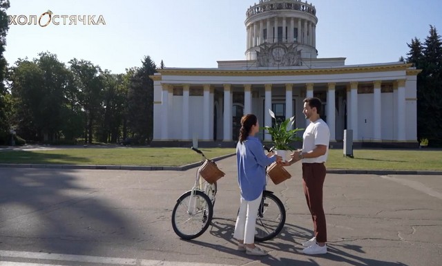 холостячка