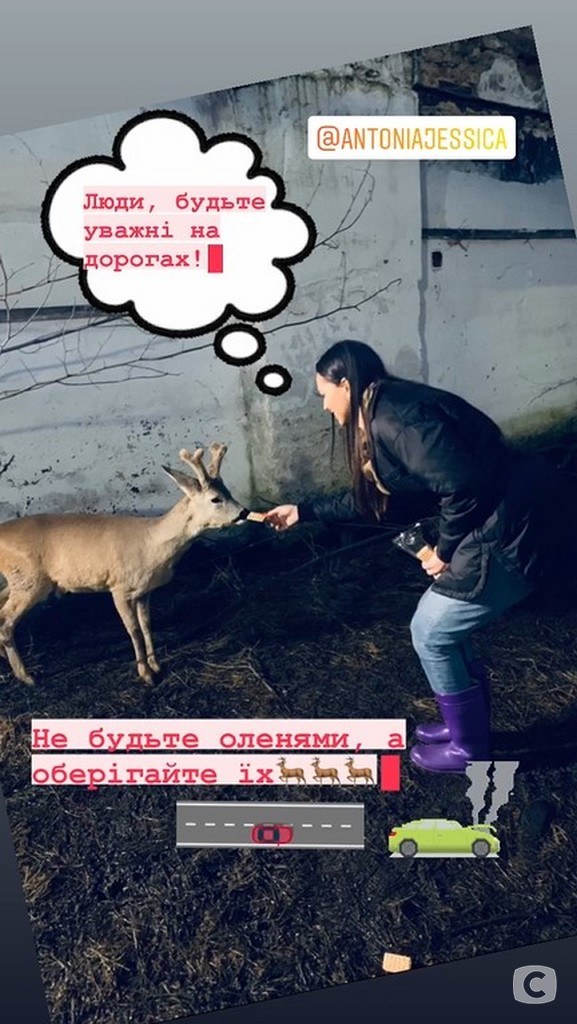 Учасниці «Холостяк»-11 виступили із закликом про захист тварин Учасниці Холостяк 11 виступили із закликом про захист тварин