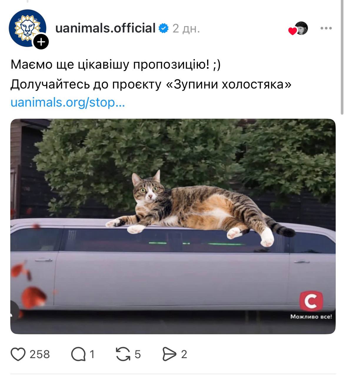 «Поява» Мотрі, рожевий капелюх та дівчина на даху лімузина: меми про Першу вечірку Холостяк-14 Холостяк 14 сезон 1 випуск: добірка мемів
