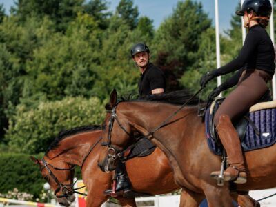 Головна New Холостяк 14 сезон: дивитись онлайн на СТБ