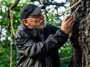 К.О.Д. 2025 – дивитись онлайн всі серії серіалу