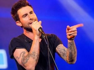 Фронтмен Maroon 5 попал микрофоном в голову своей фанатке