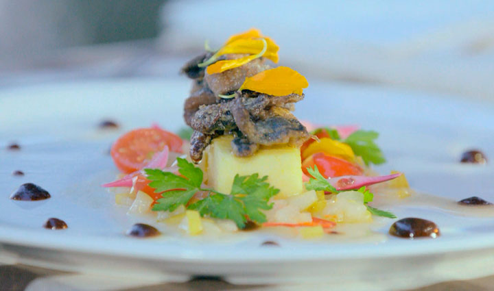 Страва честі 1 випуск від 10.03.2019 дивитися онлайн