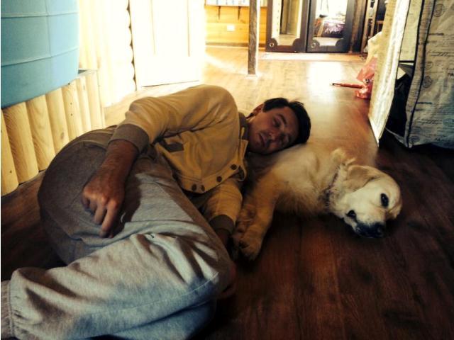 Домашні улюбленці зірок СТБ (фотопідбірка) Прис 2