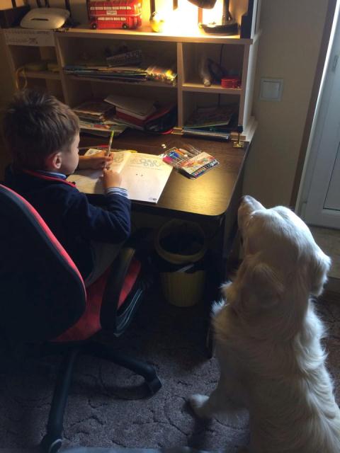 Домашні улюбленці зірок СТБ (фотопідбірка) Прис3