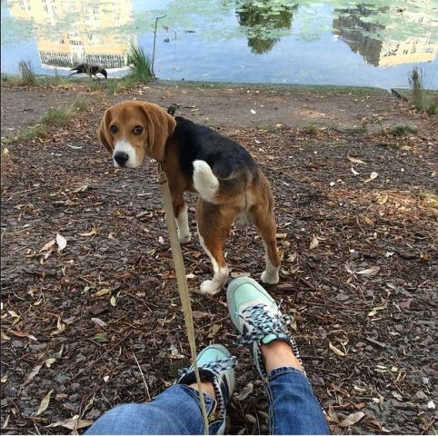 Домашні улюбленці зірок СТБ (фотопідбірка) Яна 3