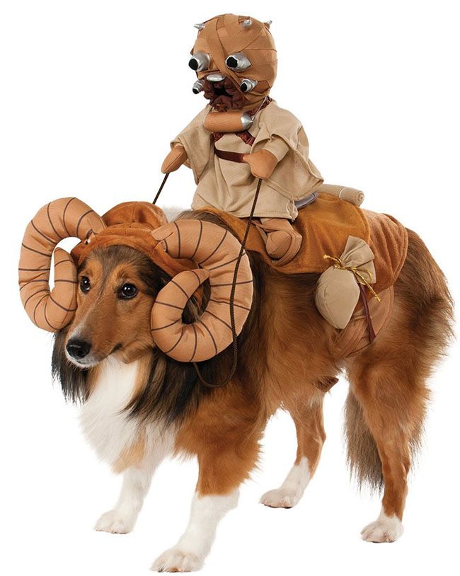 Смешные костюмы для собак 886583-Bantha-Dog-Costume-large