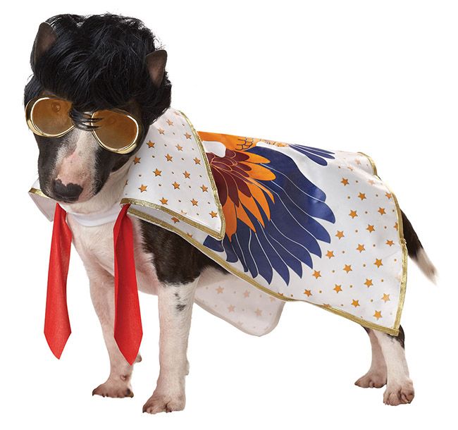 Смешные костюмы для собак PET20114-Nothin-But-A-Hound-Dog-Dog-Costume-large