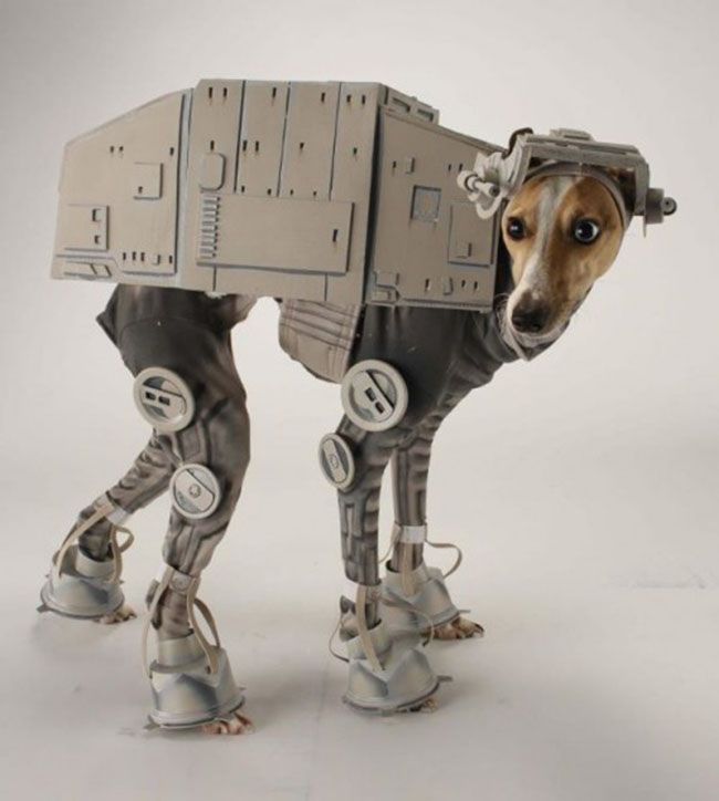 Смешные костюмы для собак at-at-dog-costume-star-wars