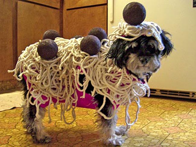 Смешные костюмы для собак dog_pasta