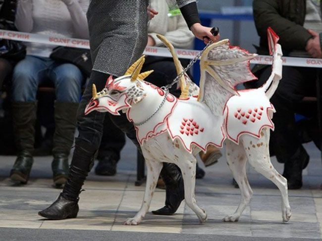 Смешные костюмы для собак dragon-dog