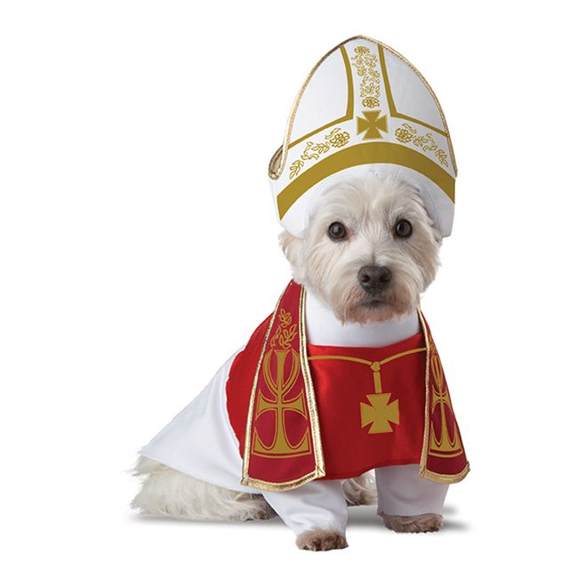 Смешные костюмы для собак holy-hound-dog-costume-1
