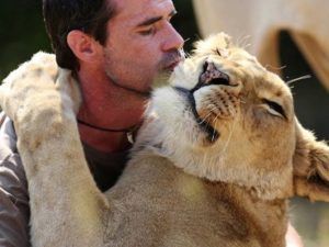 300-килограммовый медведь живет в доме как домашний питомец