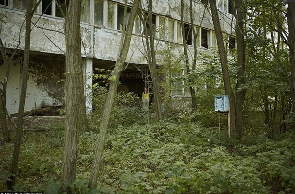 Колишня мешканка Прип’яті зняла емоційні кадри в зоні відчуження (ФОТО) ч51
