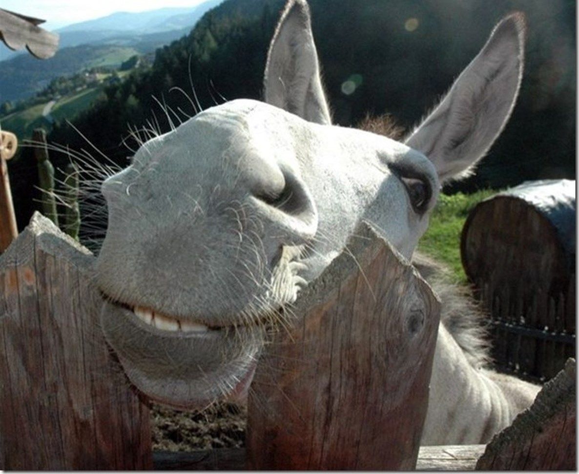 0_11324b_a5166d99_orig