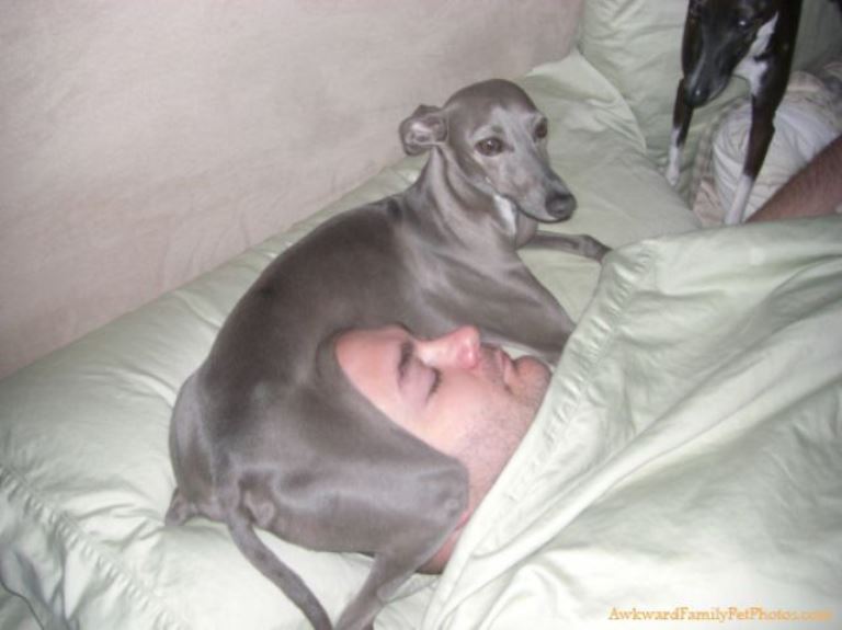 30 тварин, які змусять вас посміхнутися awkward_family_photos_640_07