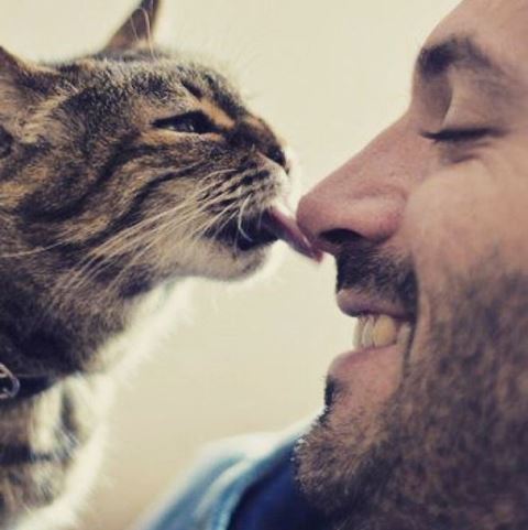 25 фото жгучих красавцев и их котиков 1-мужфины-и-коты