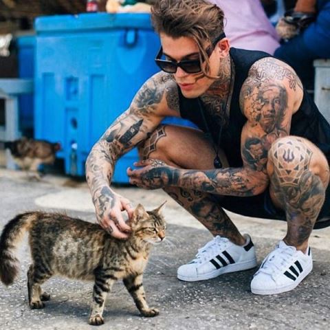 25 фото жгучих красавцев и их котиков 14-мужфины-и-коты