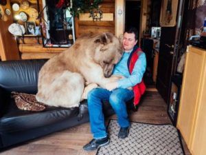 10 мест, которые стоит посетить, пока они не исчезли