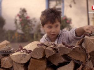 Новорічний мюзикл 2017 на СТБ – Дивитися онлайн