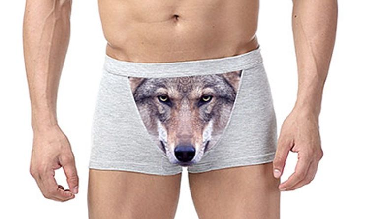 Что можно подарить на День Святого Валентина? Cotton-Wolf-Underwear-Men-font-b-Boxer-b-font-Cartoon-3D-Panties-Penis-Pouch-Male-Underpants