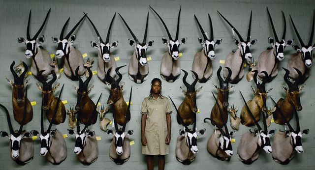 safari_still_01