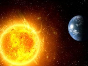 Гороскоп 2019 на рік Свині за знаками зодіаку