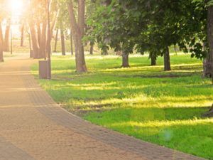 День юриста в Україні 2019: цікаві факти та привітання в прозі где погулять в Киеве, парки Киева, голосеевский парк, парк партизанской славы, вднх, мариинский парк