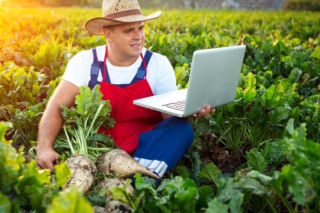 Місячний посівний календар садовода-городника на листопад 2017 року