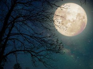 Місячний календар на лютий 2018: список вдалих днів