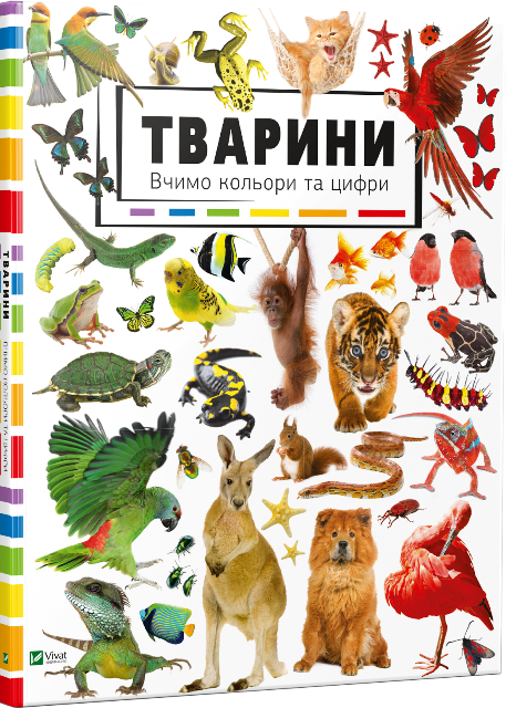 Що подарувати дитині на Новий рік: добірка найкращих книжок тварини. вчимо кольори та цифри
