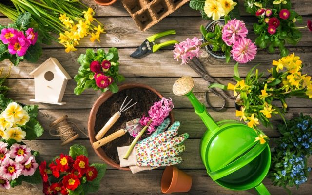 Лунный посевной календарь садовода-огородника на март 2018 года