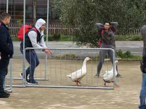 Світами за скарбами выпуск 1: как Эктор Хименес-Браво доведет участницу до слез