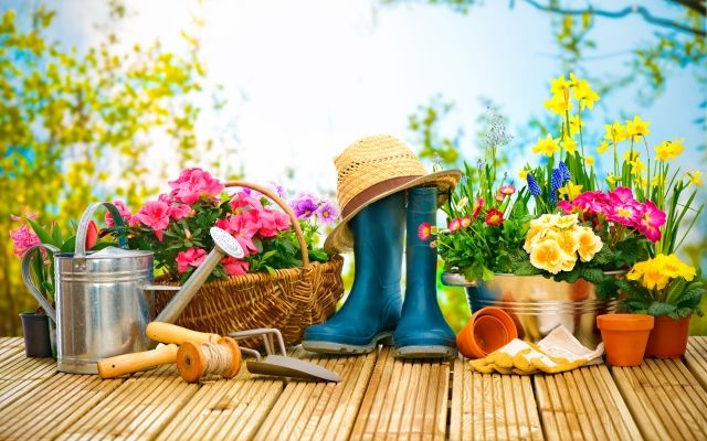 Місячний календар садівника-городника на квітень 2018 року Місячний посівний календар садівника-городника на квітень 2018 року