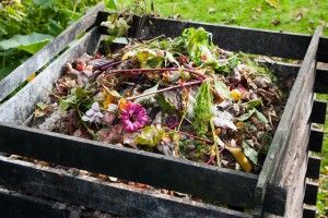 Компостер своими руками: как превратить садовый мусор в удобрение Compost bin