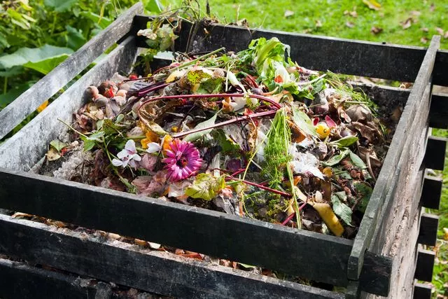 Компостер власноруч: як перетворити садове сміття на добриво Compost bin