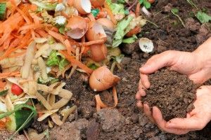 Компостер своими руками: как превратить садовый мусор в удобрение Compost with composted earth