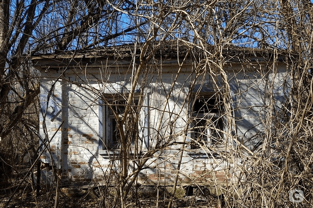 «Вікна-новини» покажут спецпроект, посвященный 32-й годовщине аварии на ЧАЭС Вікна-новини покажут спецпроект к годовщине аварии на ЧАЭс