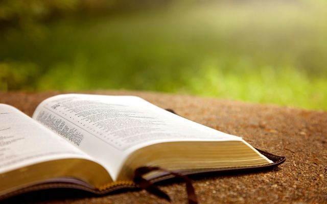 Что почитать, книги
